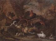 unknow artist Still life of fowl in a farmyard,with a cat stealing a bantam chick oil painting